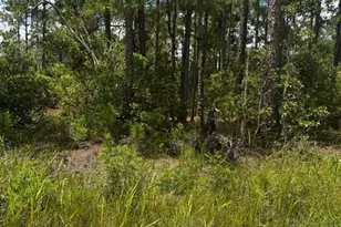 McClellan Rd, Frostproof, FL 33843 - Photo 1
