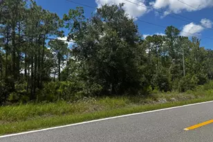 McClellan Rd, Frostproof, FL 33843 - Photo 1