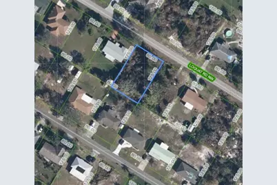 254 Loquat Road NW, Lake Placid, FL 33852 - Photo 3