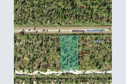 1015 Calliandra Drive, Indian Lake Estates, FL 33855 - Photo 3