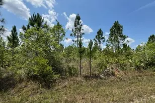 1015 Calliandra Dr, Indian Lake Estates, FL 33855 - Photo 1