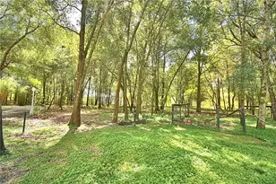 6711 Redwing Rd, Groveland, FL 34736 - Photo 9