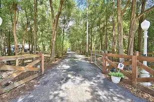 6711 Redwing Rd, Groveland, FL 34736 - Photo 5