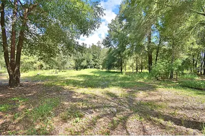 6711 Redwing Road, Groveland, FL 34736 - Photo 69