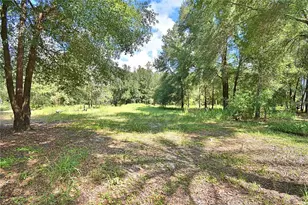 6711 Redwing Rd, Groveland, FL 34736 - Photo 69