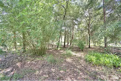 6711 Redwing Road, Groveland, FL 34736 - Photo 67