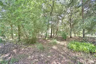 6711 Redwing Rd, Groveland, FL 34736 - Photo 67