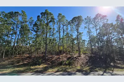 103 Sentimental Court, Lake Placid, FL 33852 - Photo 5