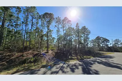 103 Sentimental Court, Lake Placid, FL 33852 - Photo 3