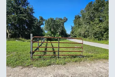 12430 Country Place Road, Lakeland, FL 33809 - Photo 3