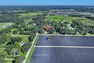 4108 N Forbes Rd, Plant City, FL 33565 - Photo 49