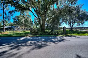 4108 N Forbes Rd, Plant City, FL 33565 - Photo 53