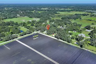 4108 N Forbes Rd, Plant City, FL 33565 - Photo 51