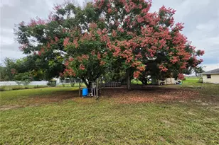 357 Tindel Camp Rd, Lake Wales, FL 33898 - Photo 15