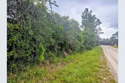 105 Bronson Street NW, Lake Placid, FL 33852 - Photo 5
