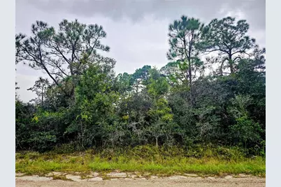 105 Bronson Street NW, Lake Placid, FL 33852 - Photo 3