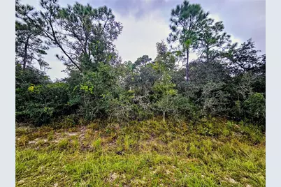 105 Bronson Street NW, Lake Placid, FL 33852 - Photo 1