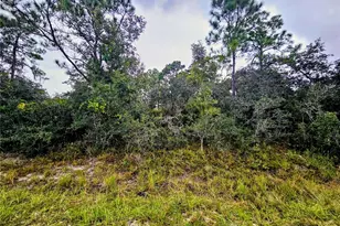 105 Bronson St NW, Lake Placid, FL 33852 - Photo 1