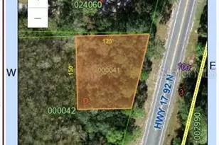 0 U S Hwy 17 92 Hwy, Davenport, FL 33837 - Photo 1