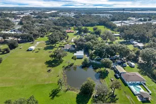 302 N Webb Rd, Plant City, FL 33566 - Photo 49