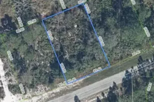 4459 Mindello St, Sebring, FL 33872 - Photo 1