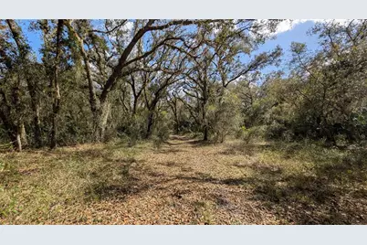 Gillette Road, Zolfo Springs, FL 33890 - Photo 49