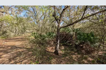 Gillette Road, Zolfo Springs, FL 33890 - Photo 53