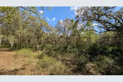 Gillette Road, Zolfo Springs, FL 33890 - Photo 55