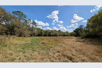 Gillette Road, Zolfo Springs, FL 33890 - Photo 3