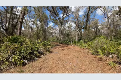Gillette Road, Zolfo Springs, FL 33890 - Photo 37