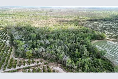 Gillette Road, Zolfo Springs, FL 33890 - Photo 45