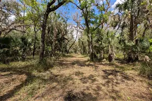 Gillette Rd, Zolfo Springs, FL 33890 - Photo 1