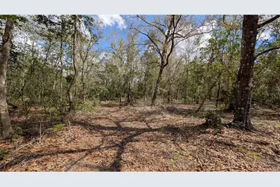 Gillette Road, Zolfo Springs, FL 33890 - Photo 23
