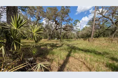 Gillette Road, Zolfo Springs, FL 33890 - Photo 41
