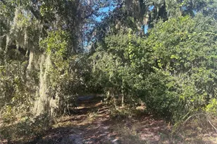 0 Jenny Dr, Lake Wales, FL 33898 - Photo 1