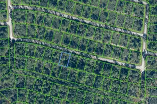 8641 Sanada St, Sebring, FL 33872 - Photo 1