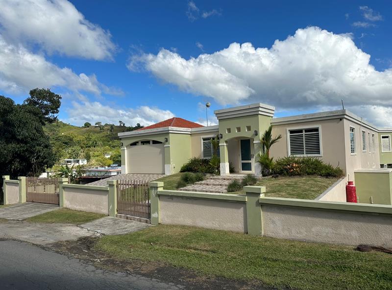 902 Km 0 1 Bo Cayaguas, San Lorenzo, PR 00754 MLS PR9099297