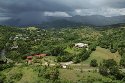 150 Carr #10.8km, Villalba, PR 00766 - Photo 9