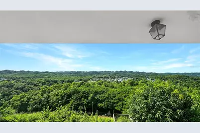 . Domingo Ruiz Ward, Palache El Cerro Sector, Arecibo, PR 00612 - Photo 45