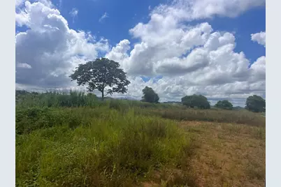 Perchas, Morovis, PR 00687 - Photo 1