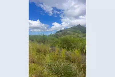 Perchas, Morovis, PR 00687 - Photo 5