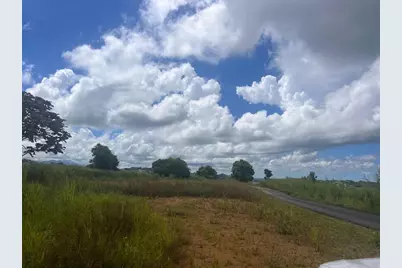 Perchas, Morovis, PR 00687 - Photo 3