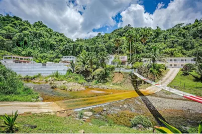 135 Villa Perez, Adjuntas, PR 00601 - Photo 5