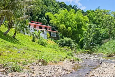 135 Villa Perez, Adjuntas, PR 00601 - Photo 11