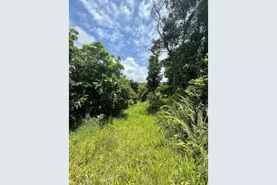 975 Ceiba , Bo Rio Abajo, Ceiba, PR 00735 - Photo 9