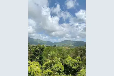 975 Ceiba , Bo Rio Abajo, Ceiba, PR 00735 - Photo 3