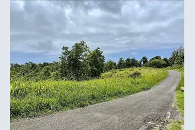 975 Ceiba , Bo Rio Abajo, Ceiba, PR 00735 - Photo 7