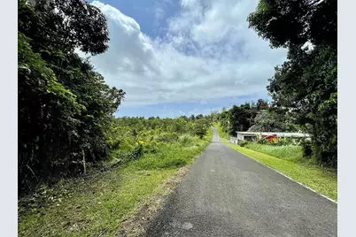 975 Ceiba , Bo Rio Abajo, Ceiba, PR 00735 - Photo 5