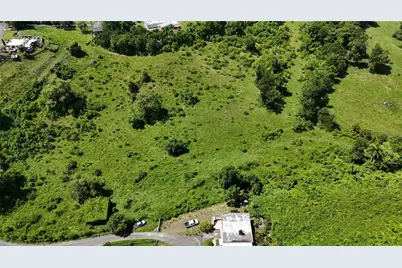 Carr. 445 Km. 3.4 Int. Barrio Saltos, San Sebastian, PR 00685 - Photo 15