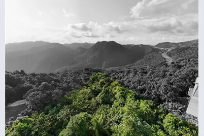 Pr-715 Km 5.7 Int Cercadillo, Cayey, PR 00736 - Photo 5